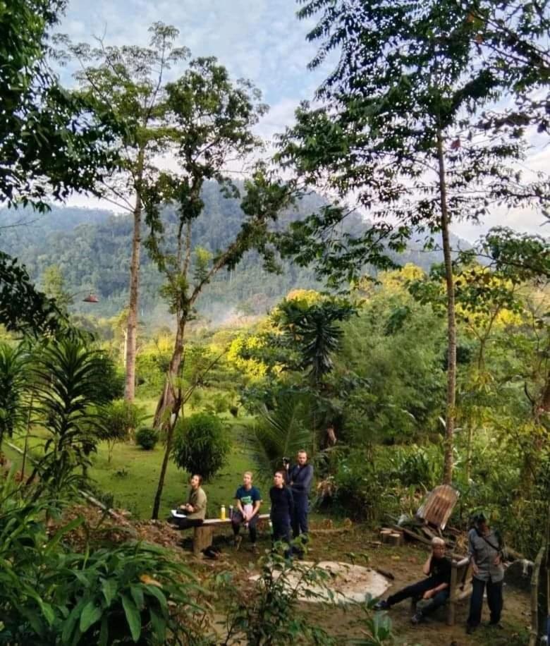 Batu Kapal Guest House & Jungle Trekking Bukit Lawang Exteriér fotografie