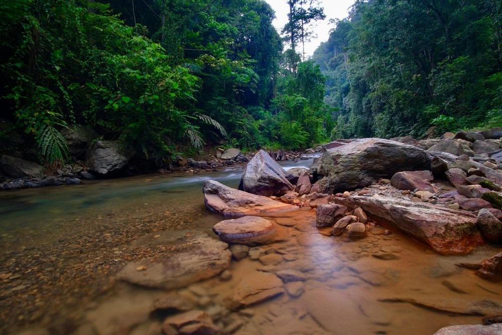 Batu Kapal Guest House & Jungle Trekking Bukit Lawang Exteriér fotografie