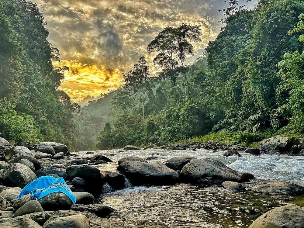 Batu Kapal Guest House & Jungle Trekking Bukit Lawang Exteriér fotografie