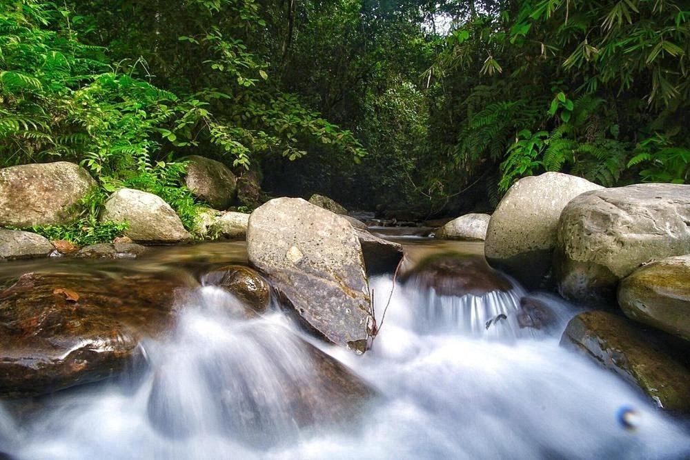 Batu Kapal Guest House & Jungle Trekking Bukit Lawang Exteriér fotografie