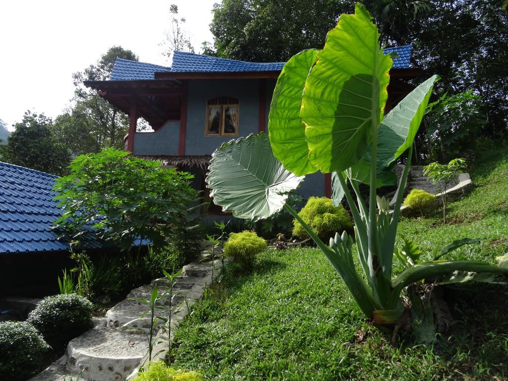 Batu Kapal Guest House & Jungle Trekking Bukit Lawang Exteriér fotografie