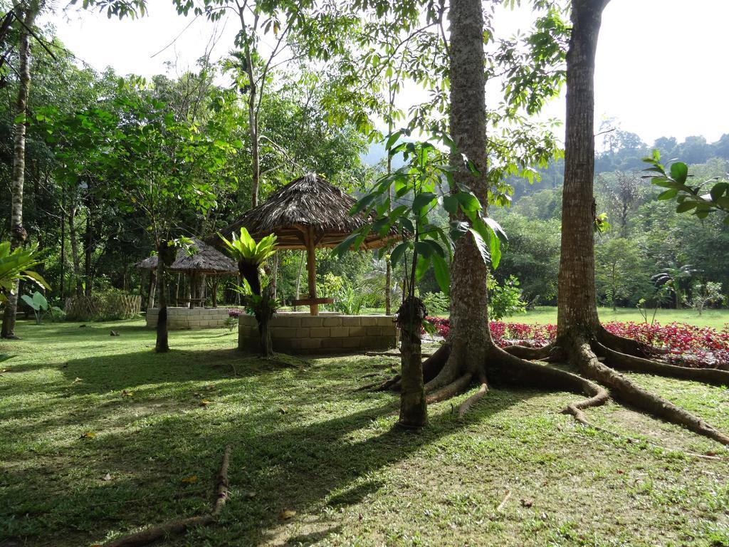 Batu Kapal Guest House & Jungle Trekking Bukit Lawang Exteriér fotografie