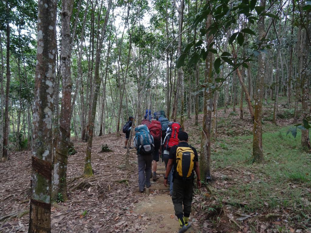 Batu Kapal Guest House & Jungle Trekking Bukit Lawang Exteriér fotografie
